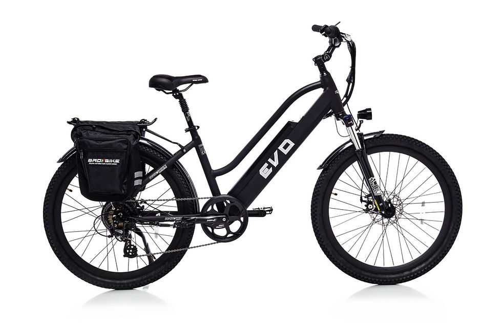 Miniatura: Bad Bike EVO - Trekking Bike
