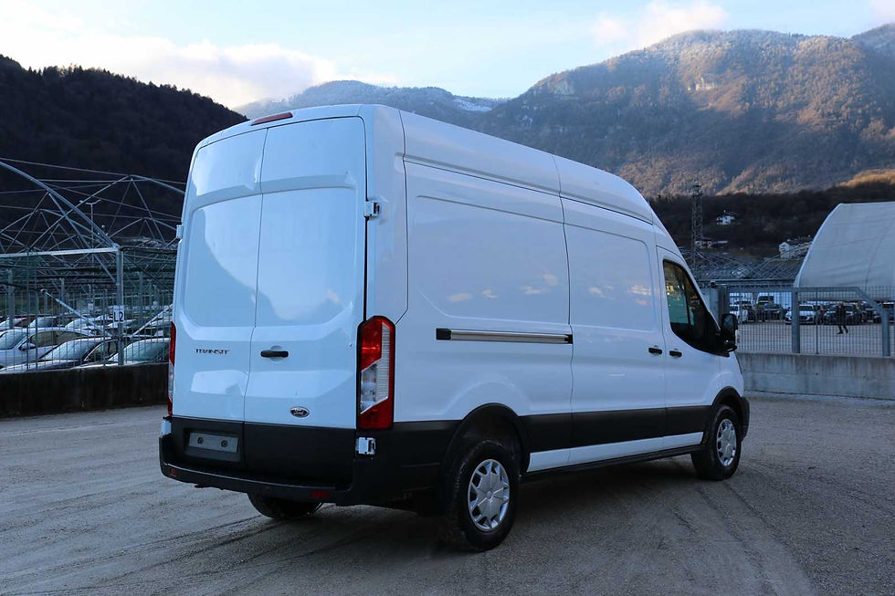 Miniatura: FORD TRANSIT (2014) 2.0 TDCi EcoBlue 170CV Furgone PL-TM 350 Trend