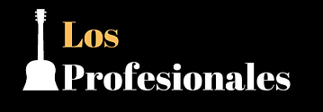 Los profesionales (4).png
