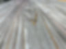 Image (1).jpeg