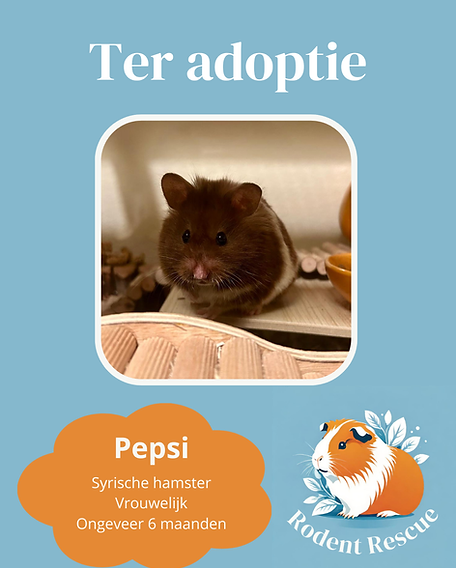 Adoptie format (10).png