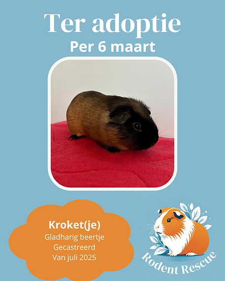 Adoptie format (25).png