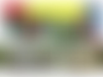 9/6：林業