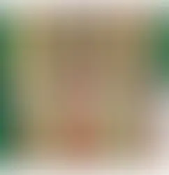 vol-291:伊藤ハムは確認していたが不法残留に気付かず?