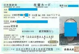vol-176：偽造在留カードを３年間で1500枚販売した！	