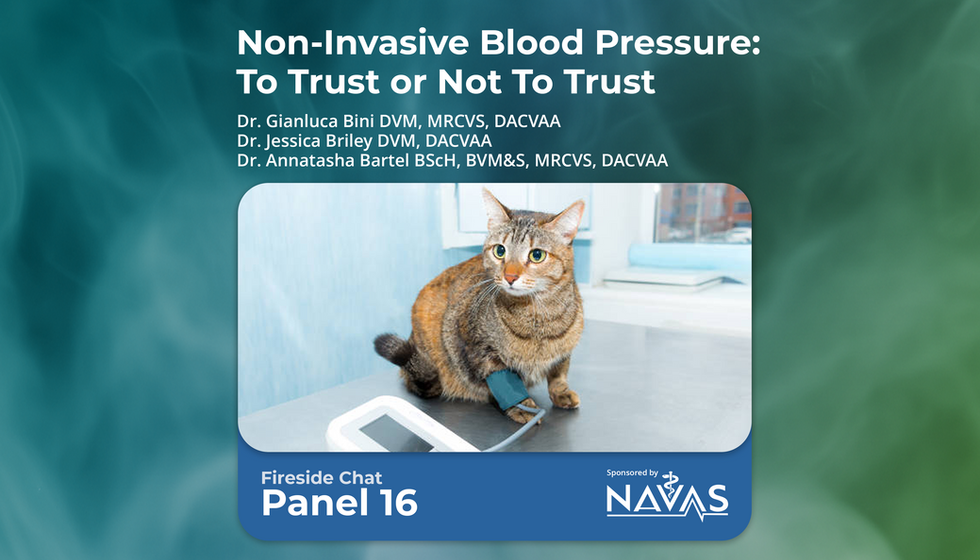Non-Invasive Blood Pressure: To Trust or Not To Trust