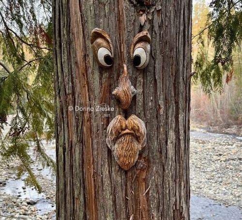The ORIGINAL & GENUINE Mr. Grumpy Stump Tree Face Garden Decor | Dorina ...