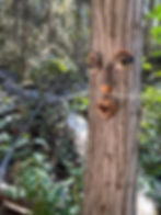 A beautiful female face on a tree trunk. Garden sculpture you attach to trees to give it a face. 12.5 x 16 inches installed.