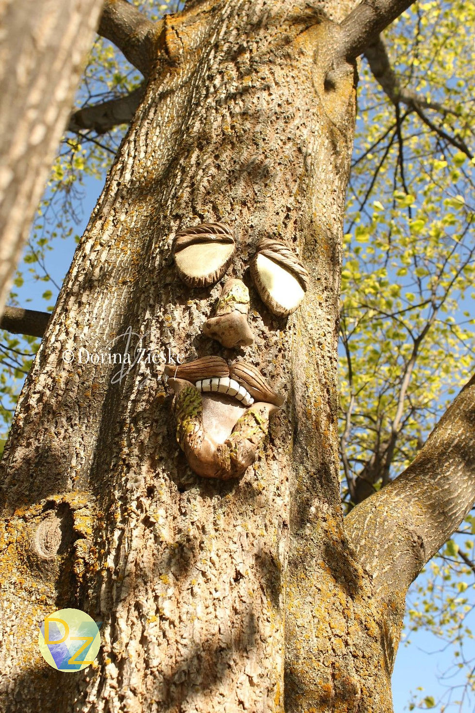 Thumbnail: Groovy Garcia - tree face