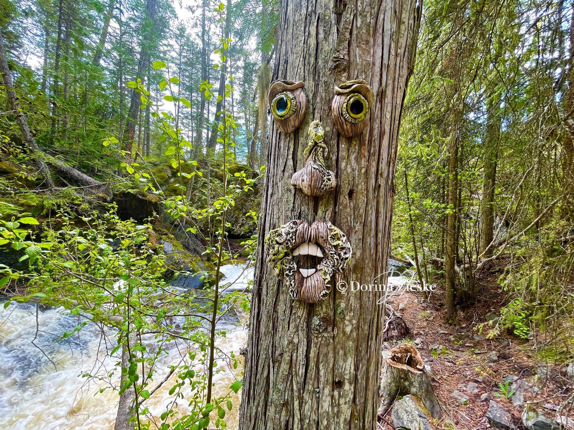 Elwood - Concrete Tree Face by Dorina Zieske Art