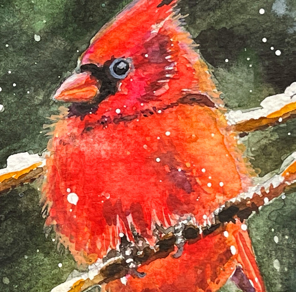 Thumbnail: Christmas Cardinal -  Greeting Card (single card OR set of 10