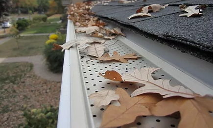 Gutter-Guard.jpg copy.png