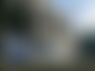 NCTS P6 național, implementat de Serviciul Vamal