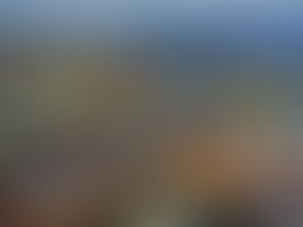 Nereguli grave la Vama Constanța