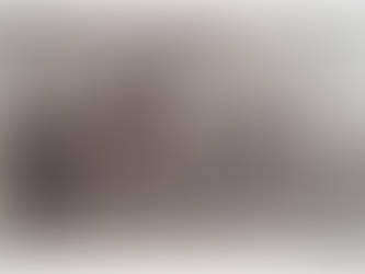 Vechea vamă românească din PREDEAL