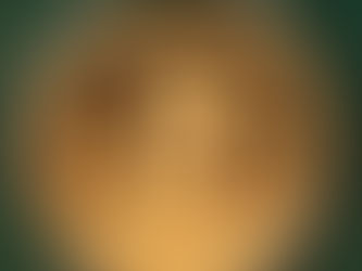 ,,Borders divide, Customs connect”