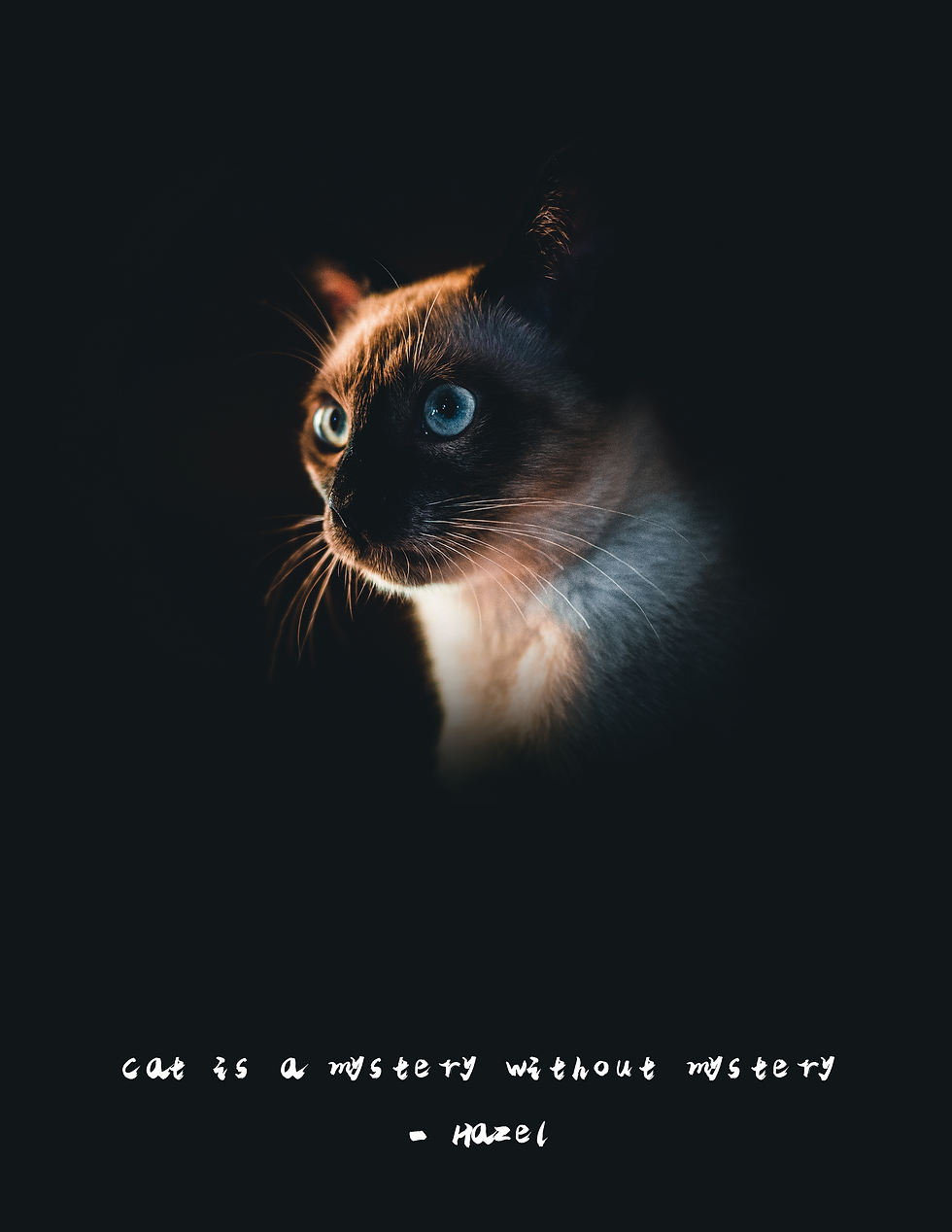 Final design-13.png