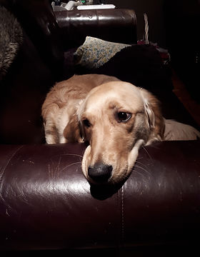 20190105_201335.jpg
