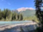 IMG_8078.jpeg