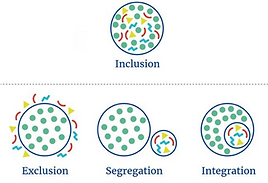 Screenshot 2024-12-15 at 9.51.16 AM.png