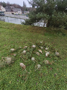 IMG_20251222_123326.jpg