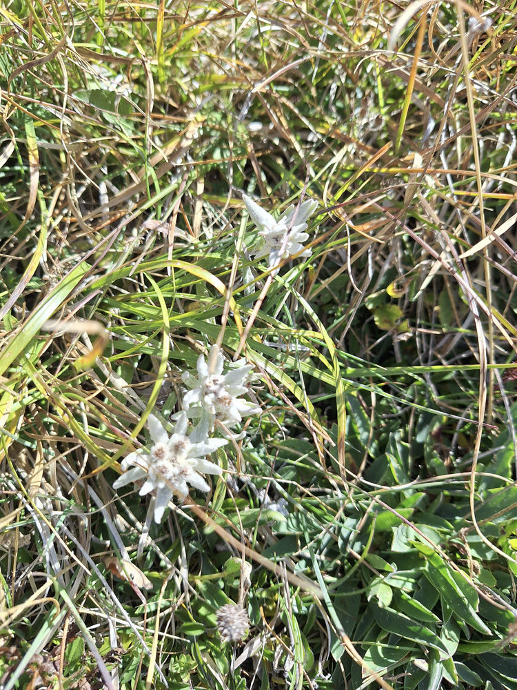 20240805_113013.jpg