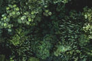 fond-ecran-artscenica-ok2.jpg