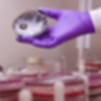 nettoyage carrelage sale - jointsnet 3.jpg