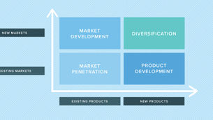 What is Product Development Strategy (Definition and Examples)