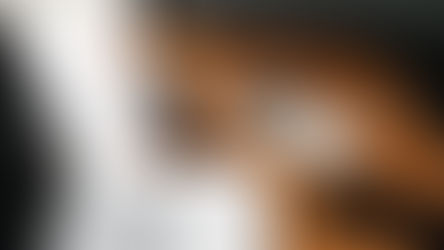 SaaS Revenues: Every Founder’s Accounting Nightmare