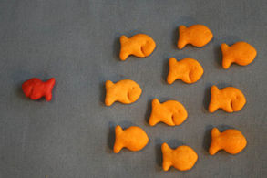 Startup Founder and Recruiter-in-Chief: 5 Steps for Attracting Talent