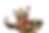 IMG_5761_edited.png
