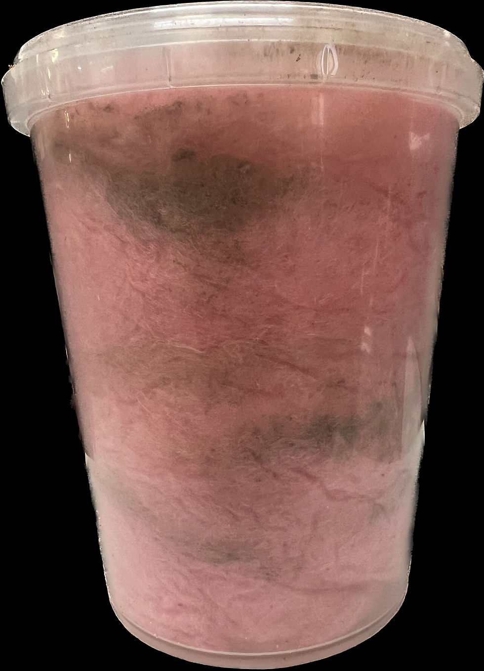 Miniature : Forêt noire