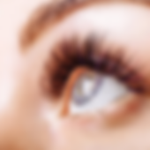 Lash and Brow Services.png