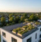 flat roof applications