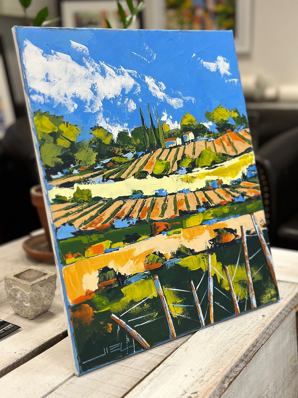 Miniature : Les belles couleurs d'un vignoble en Provence.