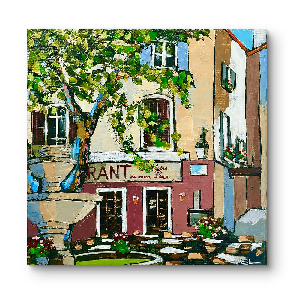 Miniature : Place du Thouron à Seillans