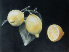 'Citroenen'
Pasteltekening (18x24)