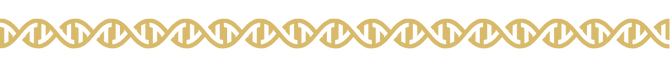 pattern-renda-viviane-marinato-dna.png