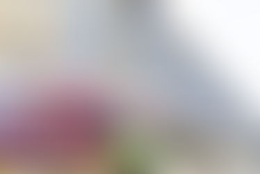 KRA Thwarts Sh123 Million Tax Fraud Involving Imported Rice Containers