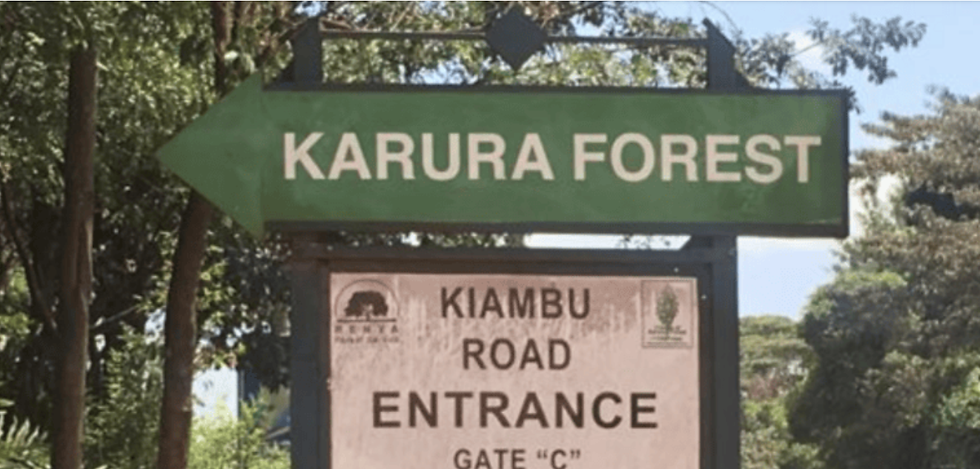 Karura forest entrance