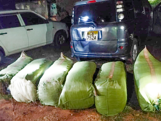 Some of the seized narcotic drug in Gesonso, Kisii