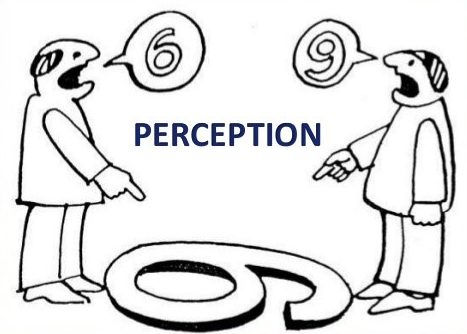 perception-e1565020031220.jpg