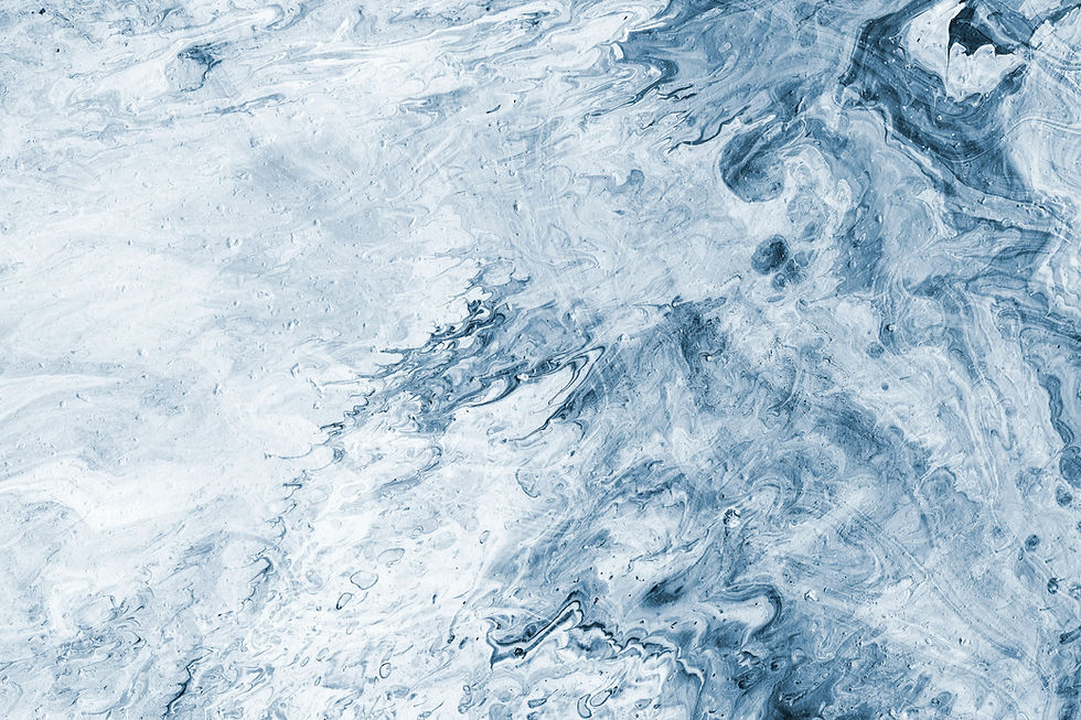 Fly over ice.jpeg