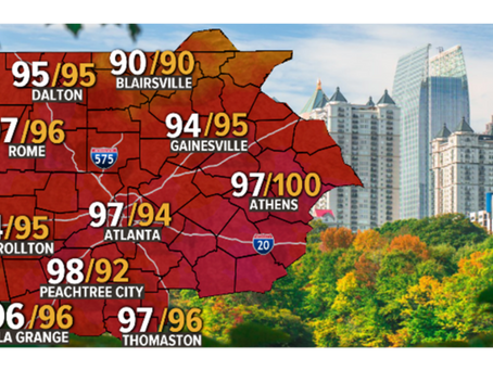 Georgia's Hot & Humid Summer is Here, Do you know what the humidity levels are in your home?