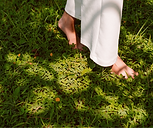 bear feet walking on the grass