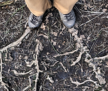 mans feet on tree roots
