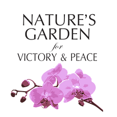 NGVP Logo 4 (Trans) (1).png