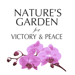 NGVP Logo 4 (Trans) (1).png