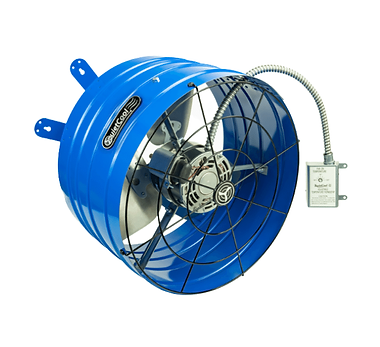 Untitled design (3).png